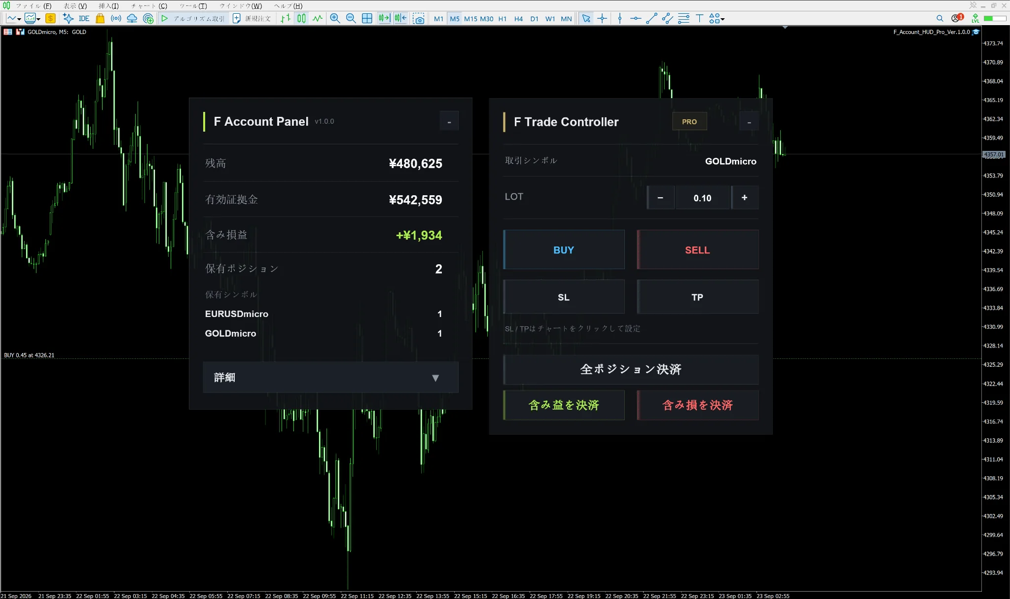 F Account Panel Pro MT4 / MT5 screenshot